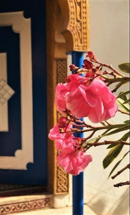 Surf & Yoga Paradise Morocco Albergue Tamraght Ou Fella Exterior foto
